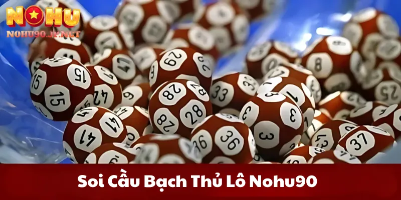 Soi Cầu Bạch Thủ Lô
